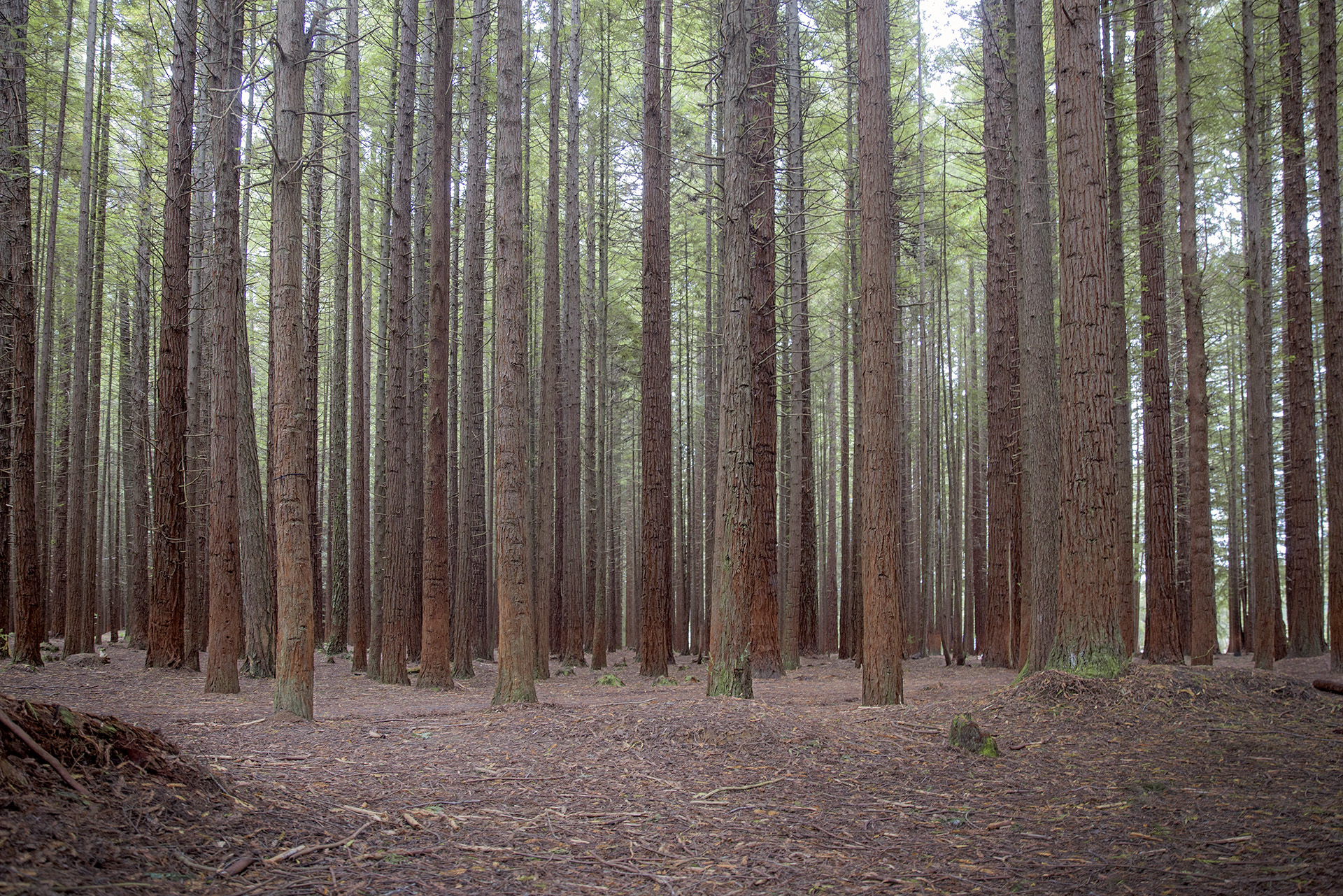 lenfant davril photographie