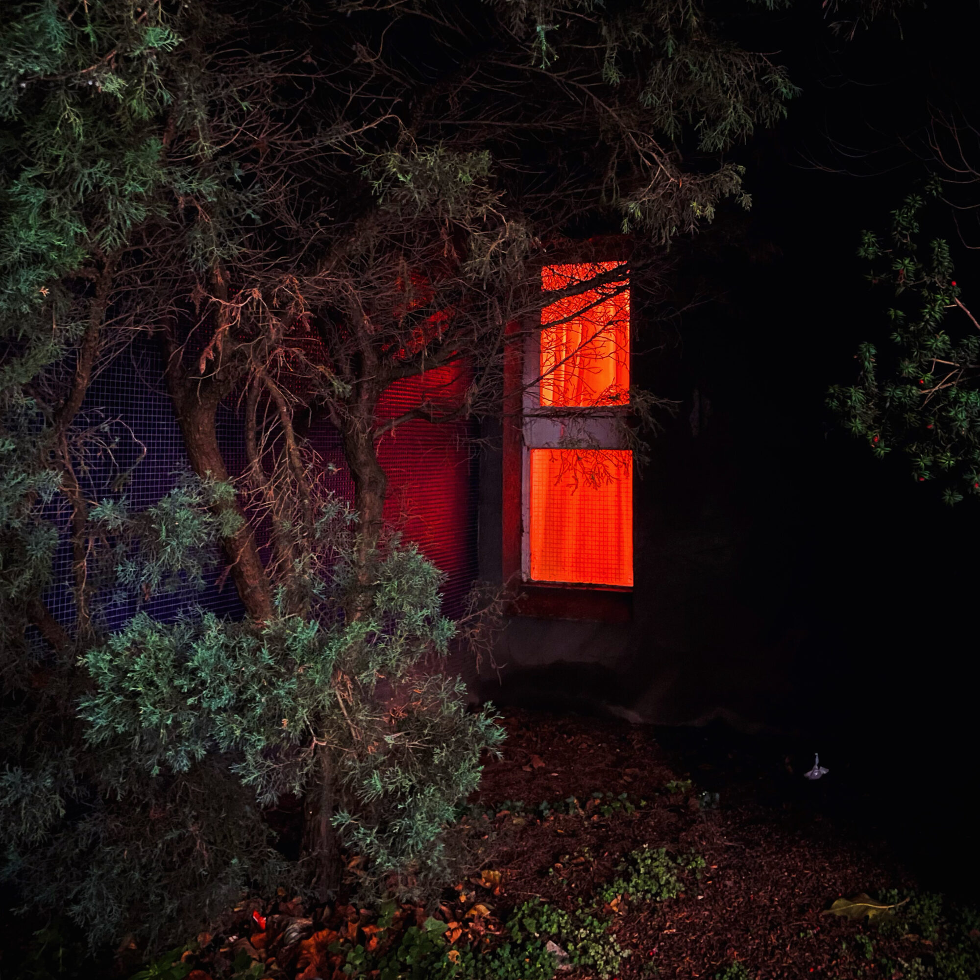 Les fenêtres qui parlent — 5