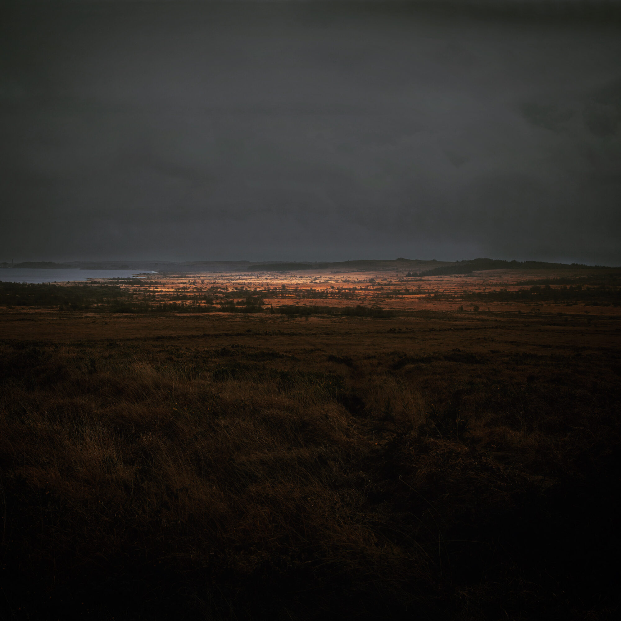 Wilderness — 14