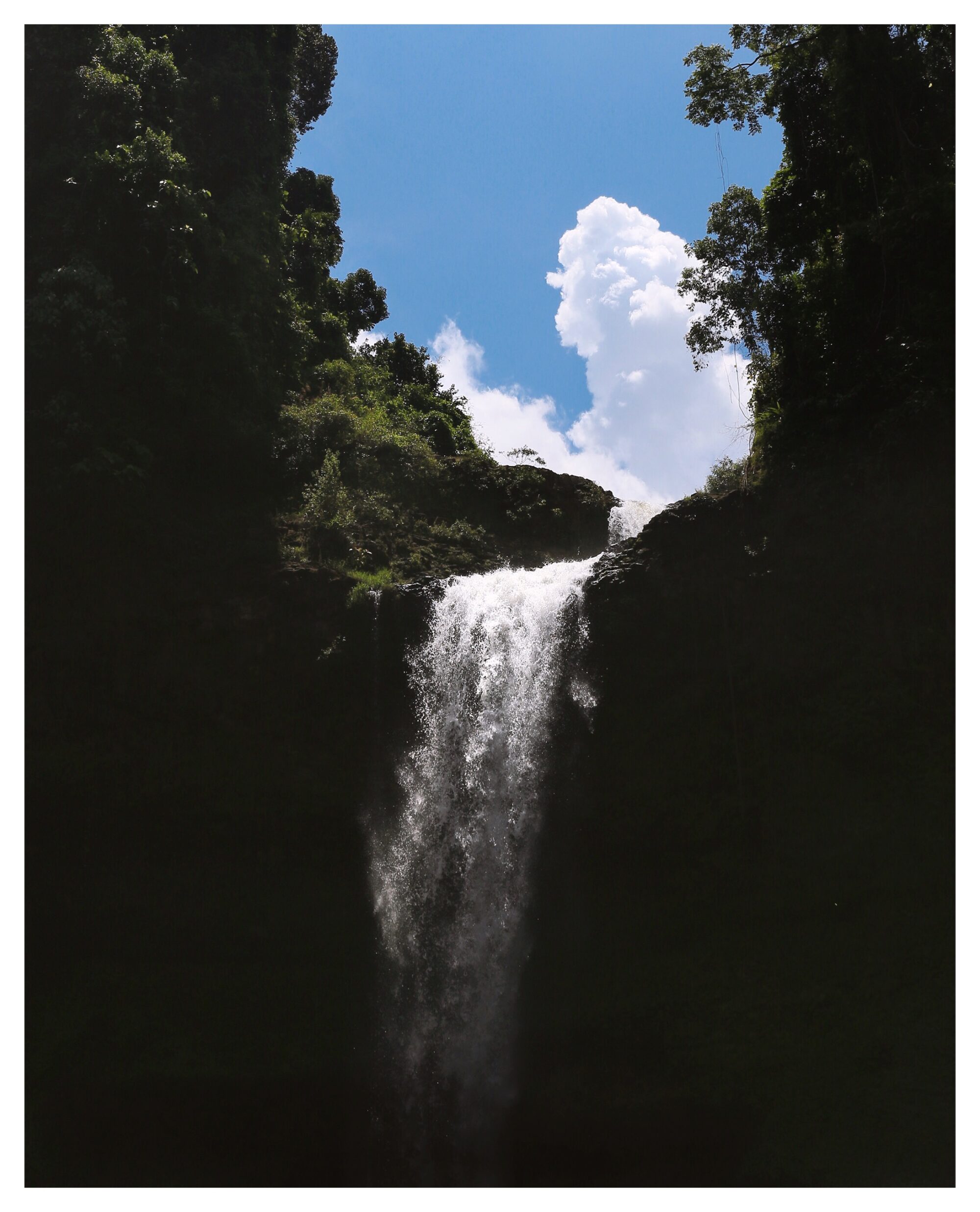 Wilderness — 2