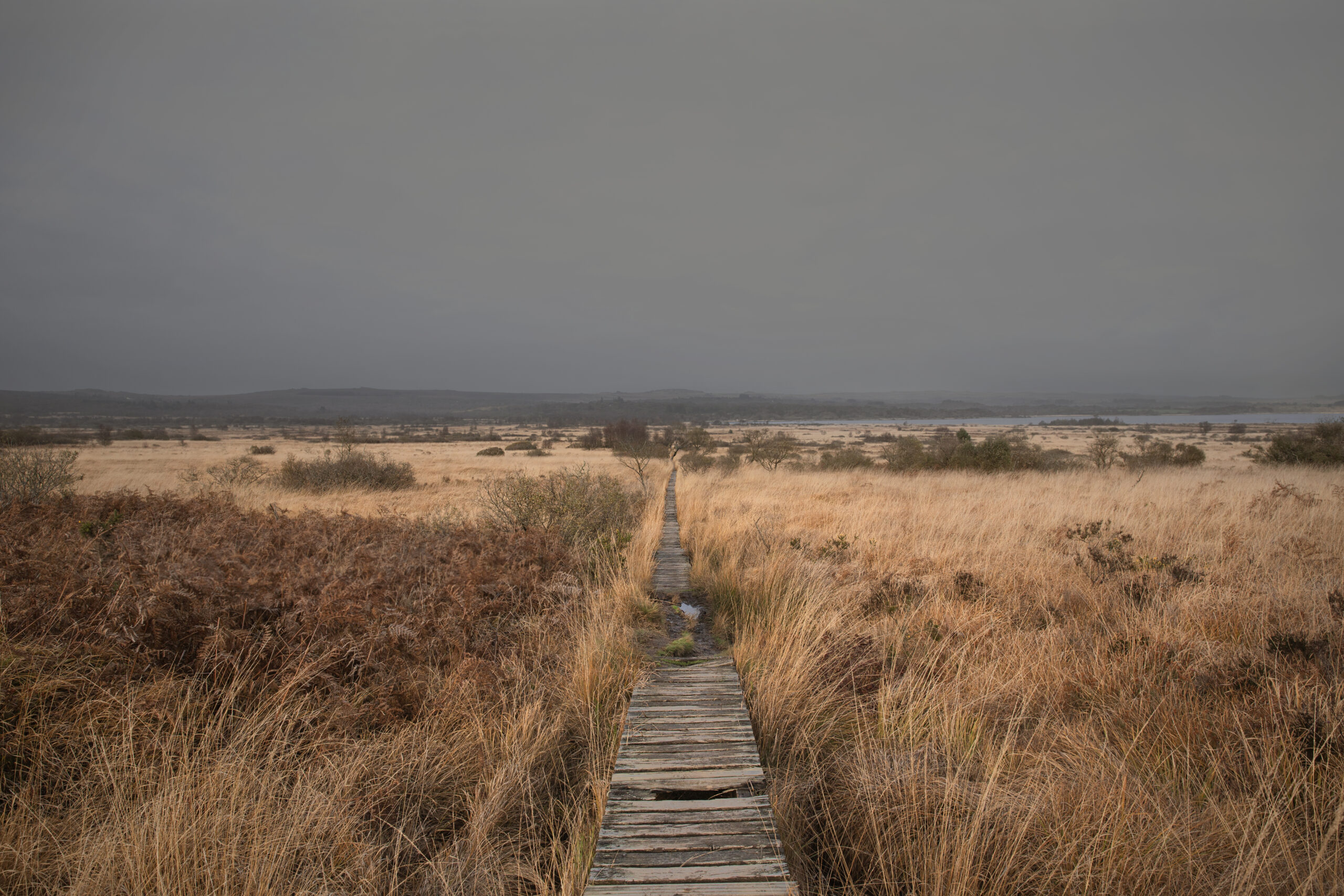 Wilderness — 13