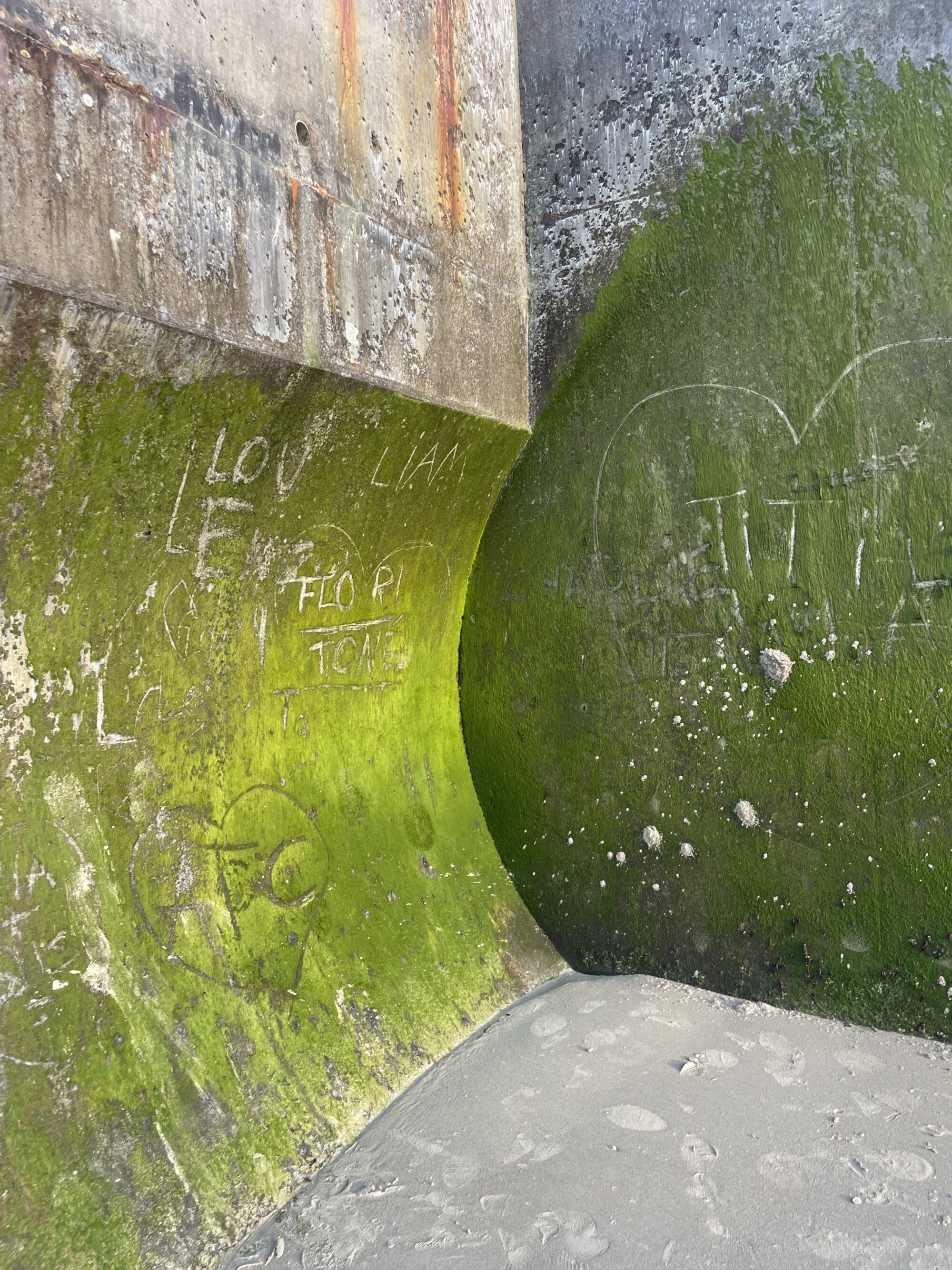 A world of concrete — 11