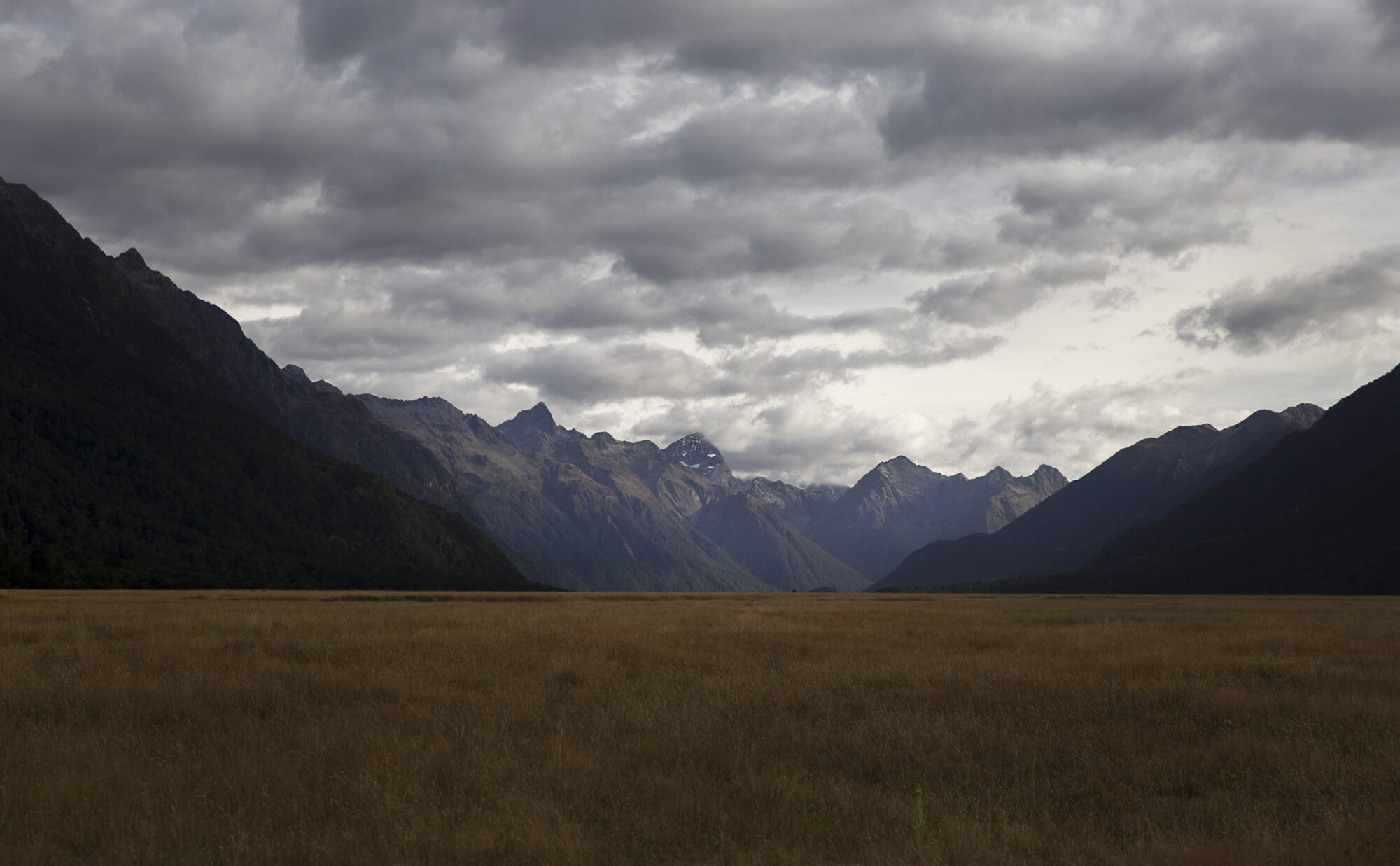 Wilderness — 1